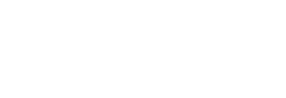 Nvesia Logo